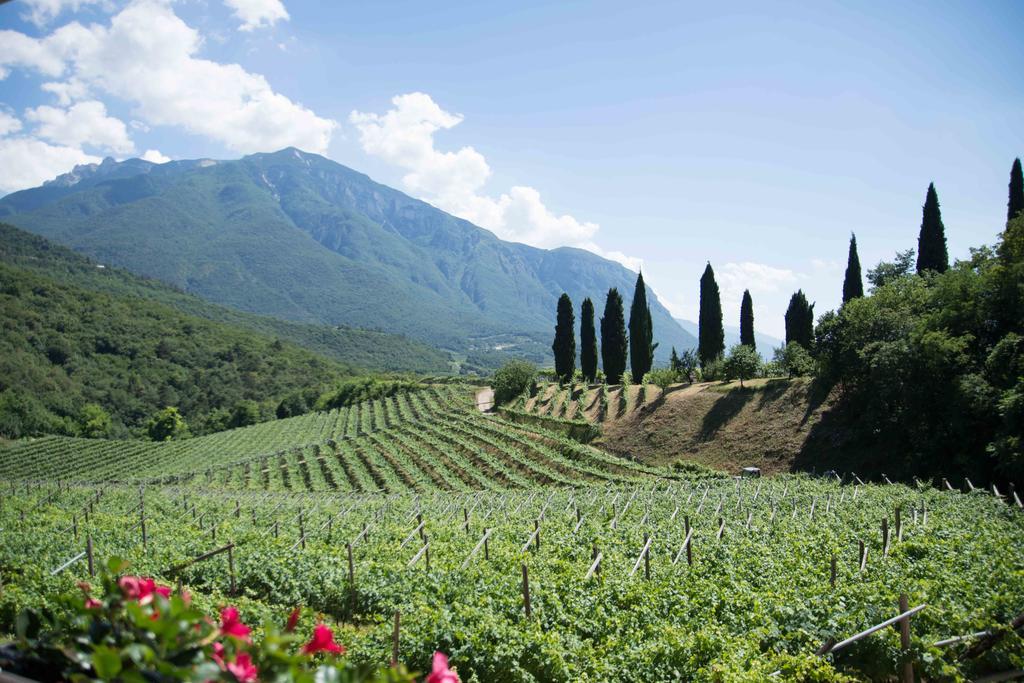 Agritur Casteller Villa Trento Exterior photo