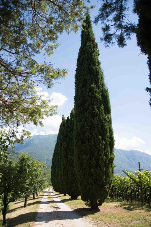 Agritur Casteller Villa Trento Exterior photo